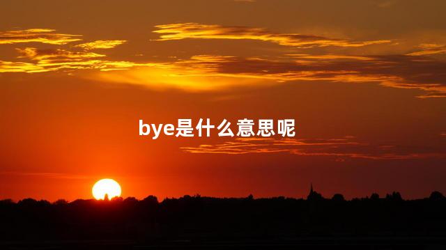 bye是什么意思呢