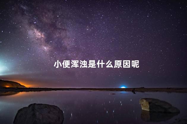 小便浑浊是什么原因呢
