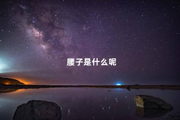 腰子是什么呢
