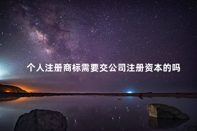 个人注册商标需要交公司注册资本的吗