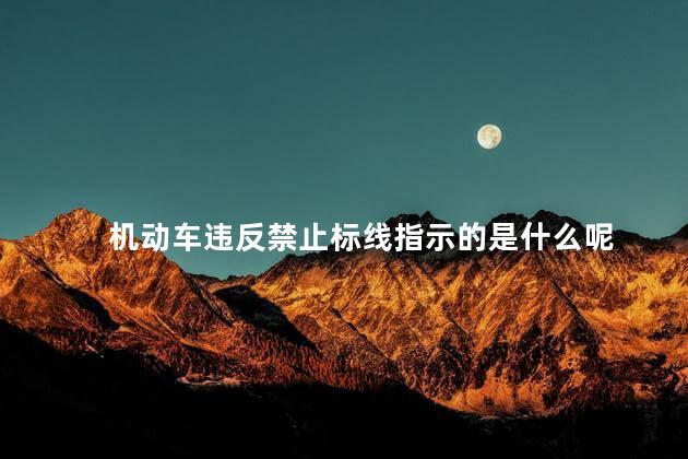 机动车违反禁止标线指示的是什么呢