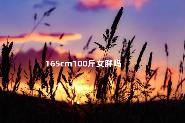 165cm100斤女胖吗