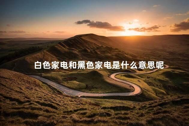 白色家电和黑色家电是什么意思呢