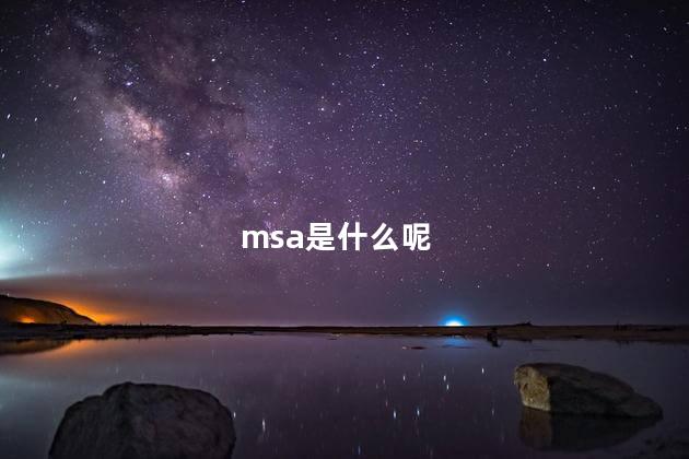 msa是什么呢