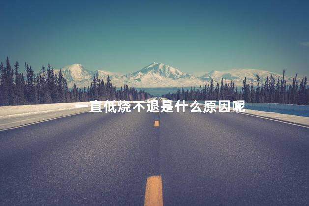 一直低烧不退是什么原因呢