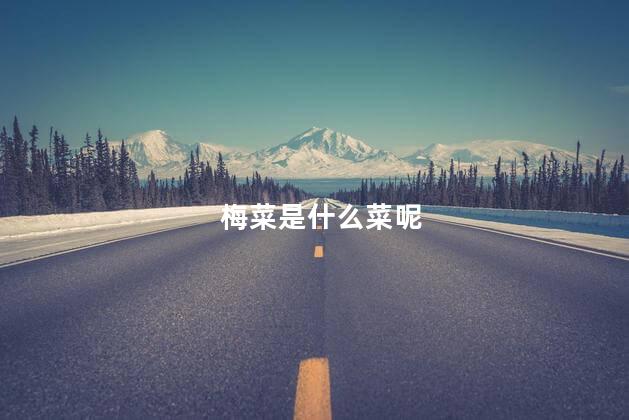 梅菜是什么菜呢