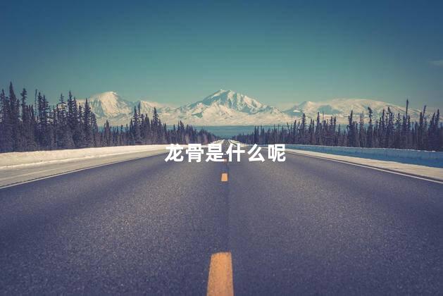 龙骨是什么呢