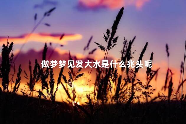 做梦梦见发大水是什么兆头呢