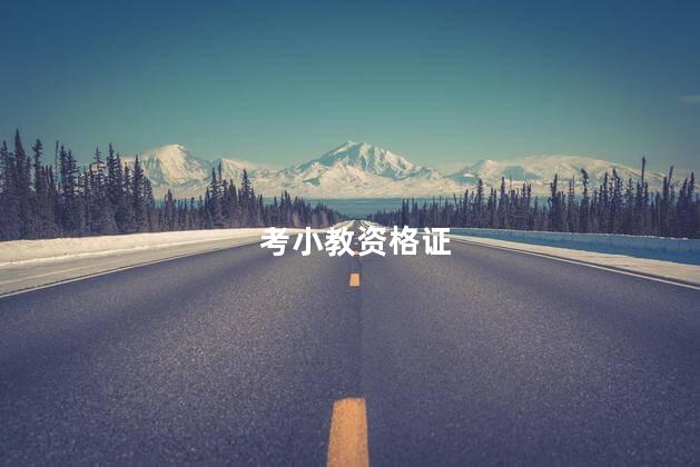 考小教资格证