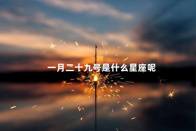 一月二十九号是什么星座呢