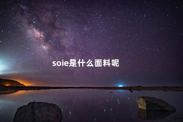 soie是什么面料呢
