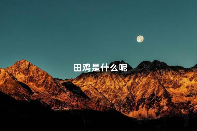 田鸡是什么呢