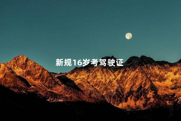 新规16岁考驾驶证
