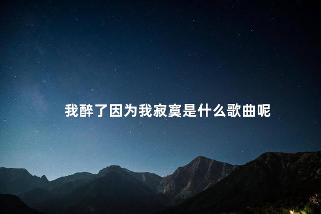 我醉了因为我寂寞是什么歌曲呢