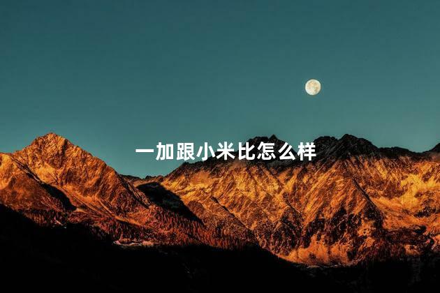 一加跟小米比怎么样,一加和小米谁更好