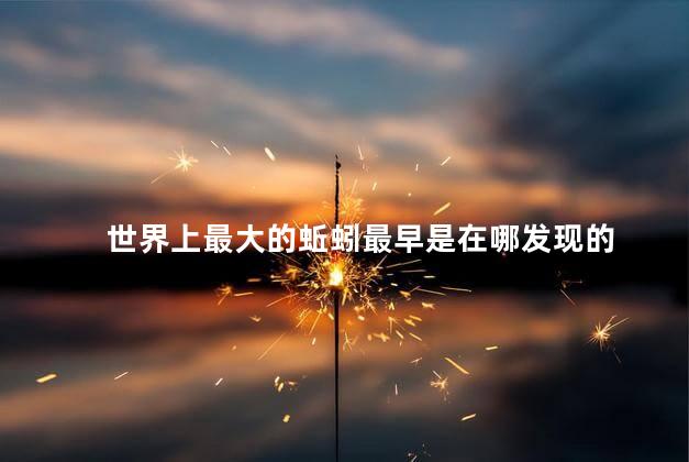 世界上最大的蚯蚓最早是在哪发现的，世界上最大的蚯蚓最早是什么