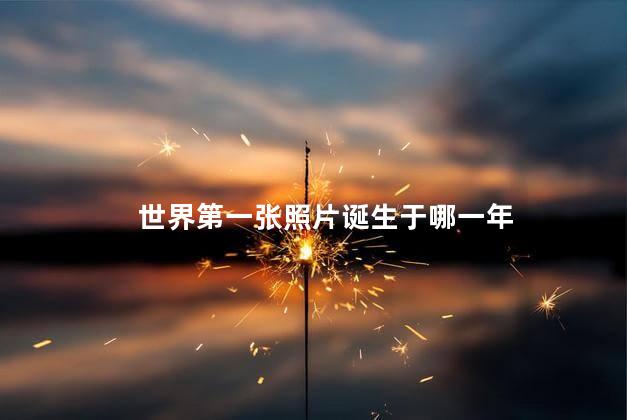 世界第一张照片诞生于哪一年，世界第一张照片诞生于什么时候