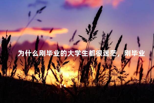 为什么刚毕业的大学生都很迷茫，刚毕业的大学生为什么会感到迷茫