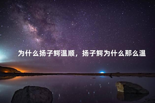 为什么扬子鳄温顺，扬子鳄为什么那么温顺