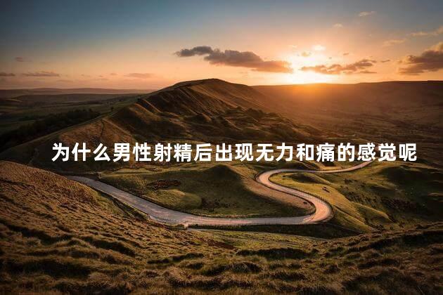 为什么男性射精后出现无力和痛的感觉呢，男性射精后出现无力和痛的原因