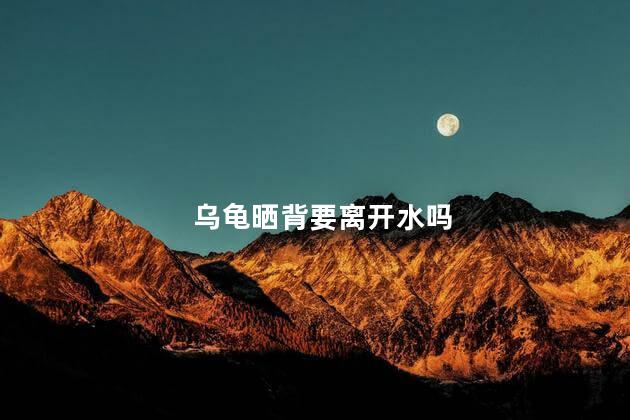 乌龟晒背要离开水吗，乌龟晒背用不用离开水
