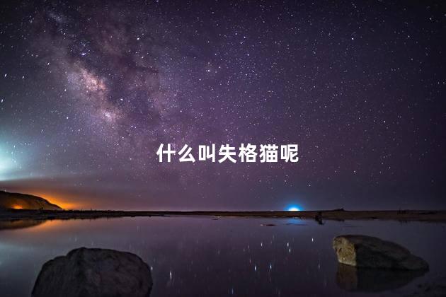 什么叫失格猫呢，什么是后院猫