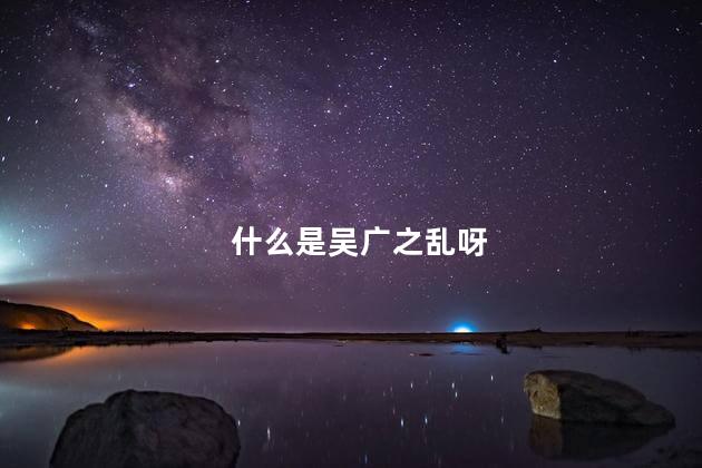 什么是吴广之乱呀，吴广之乱对中国历史产生了什么影响