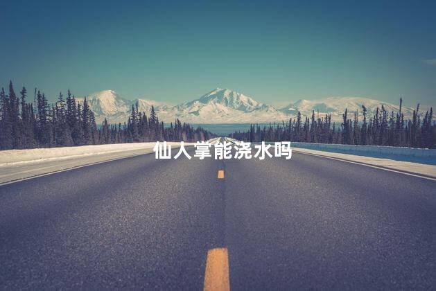 仙人掌能浇水吗，仙人掌可以浇水不