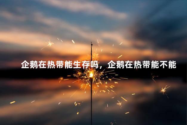 企鹅在热带能生存吗，企鹅在热带能不能生存