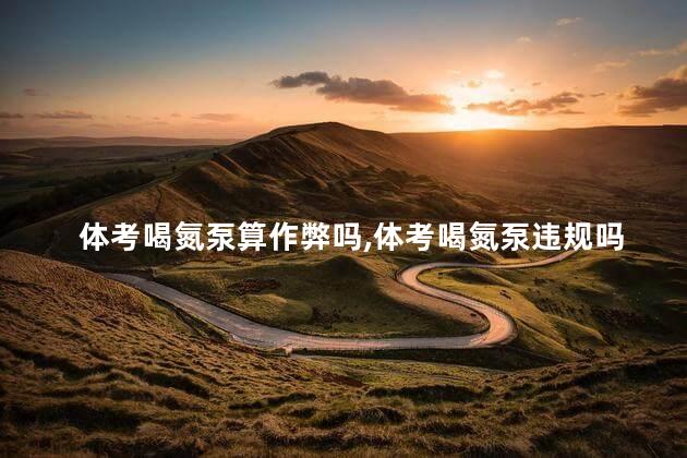 体考喝氮泵算作弊吗,体考喝氮泵违规吗