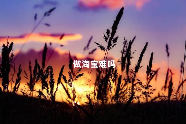 做淘宝难吗，淘宝好做吗