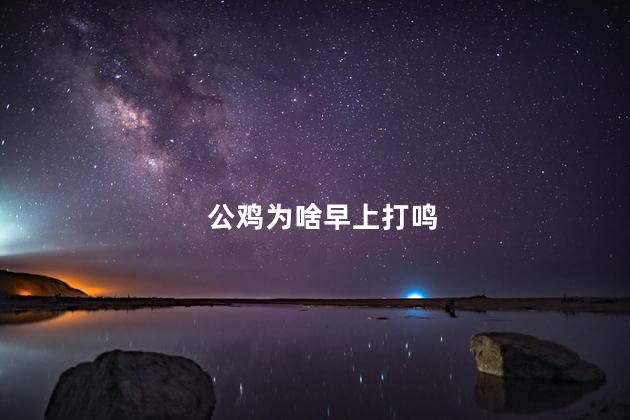 公鸡为啥早上打鸣，公鸡早上打鸣的原因