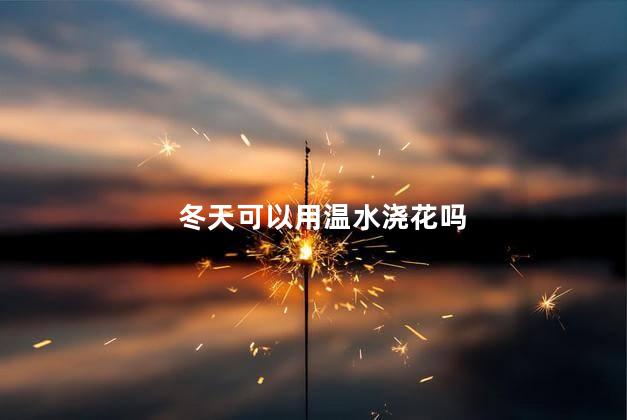 冬天可以用温水浇花吗，为什么冬天可以用温水浇花呢