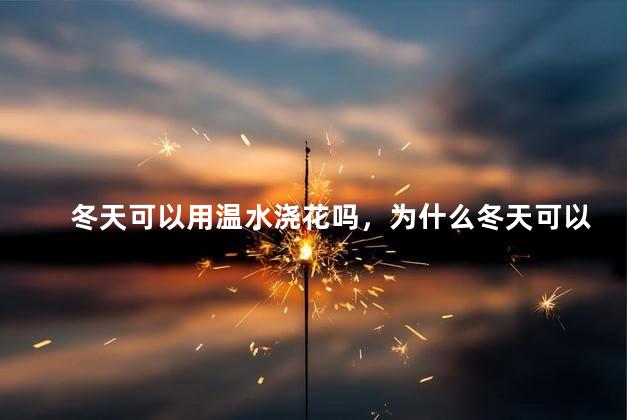 冬天可以用温水浇花吗，为什么冬天可以用温水浇花呢