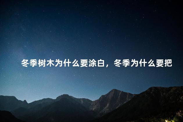 冬季树木为什么要涂白，冬季为什么要把树刷白