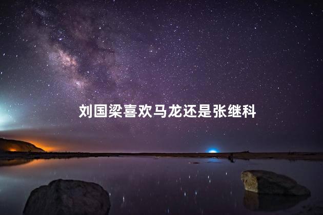 刘国梁喜欢马龙还是张继科，刘国梁谈张继科马龙性格