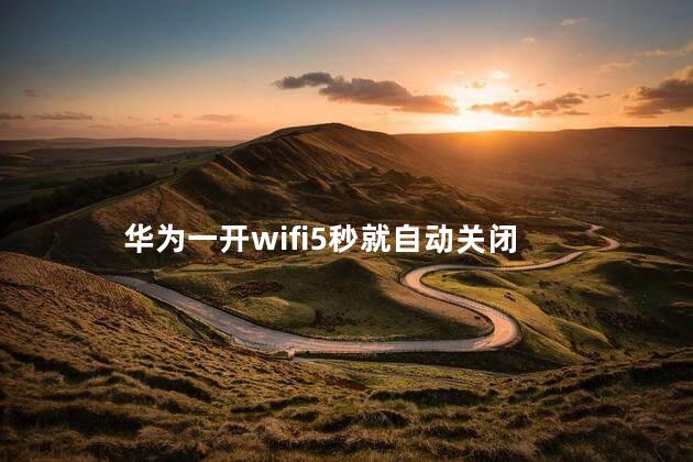 华为一开wifi5秒就自动关闭,华为一开蓝牙5秒就自动关闭