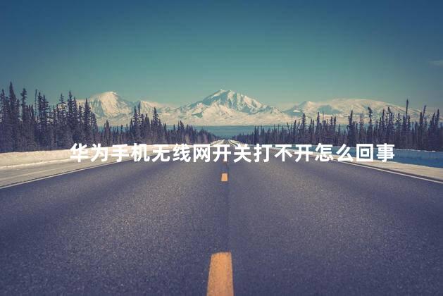 华为手机无线网开关打不开怎么回事，华为手机无线局域网络设置在哪里
