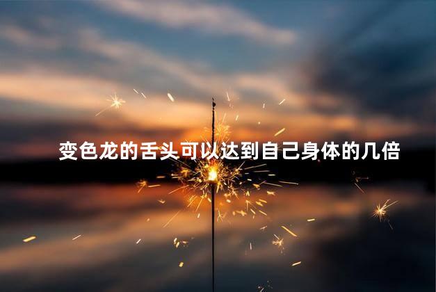 变色龙的舌头可以达到自己身体的几倍，变色龙的舌头是身体的几倍