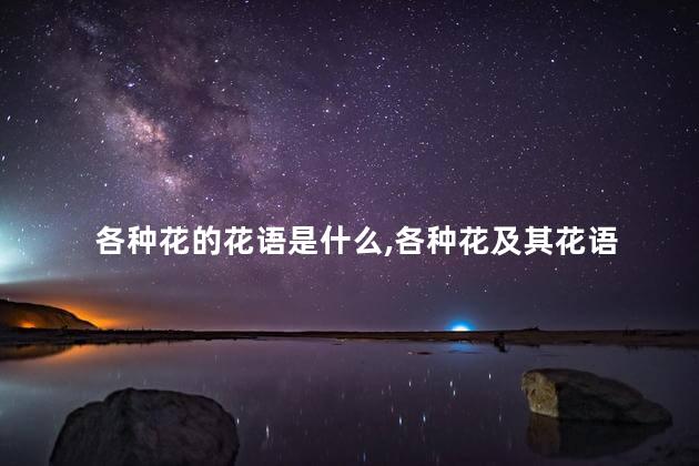 各种花的花语是什么,各种花及其花语
