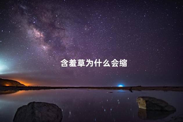 含羞草为什么会缩，含羞草为什么会缩起来