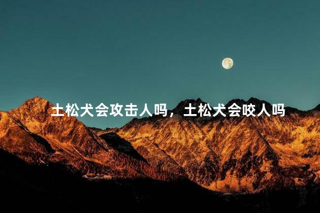 土松犬会攻击人吗，土松犬会咬人吗