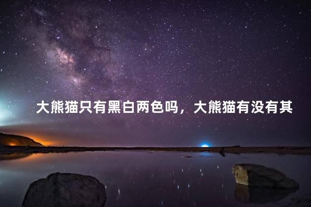 大熊猫只有黑白两色吗，大熊猫有没有其他颜色