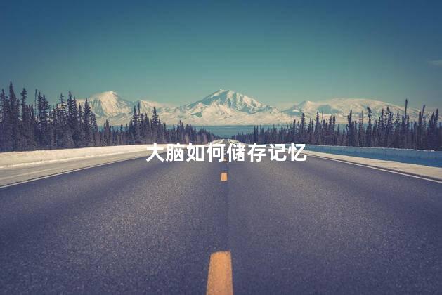 大脑如何储存记忆，大脑储存记忆的原理