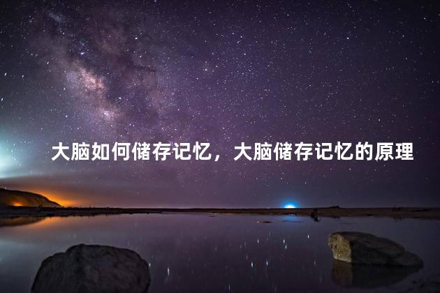 大脑如何储存记忆，大脑储存记忆的原理