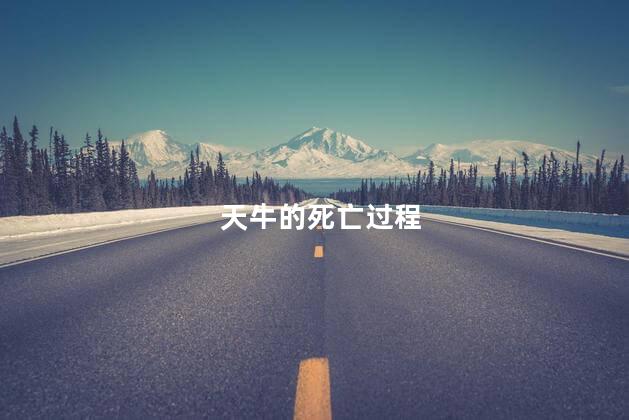 天牛的死亡过程,天牛是怎么死的