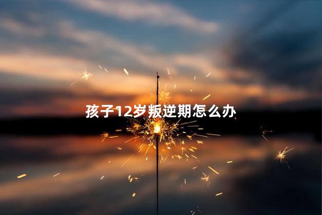 孩子12岁叛逆期怎么办，13岁孩子心理有问题的表现