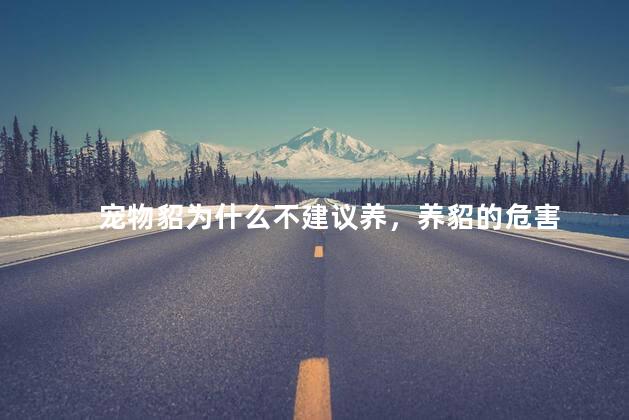 宠物貂为什么不建议养，养貂的危害