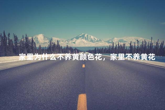家里为什么不养黄颜色花，家里不养黄花的原因