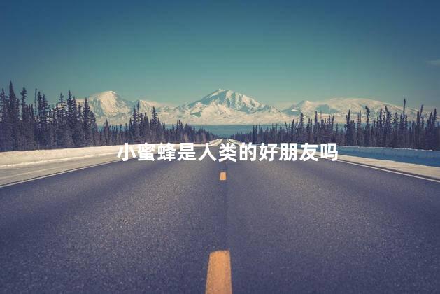 小蜜蜂是人类的好朋友吗，小蜜蜂是不是人类的好朋友